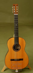 Martin Guitar: Used Brazilian Rosewood N-20WNB