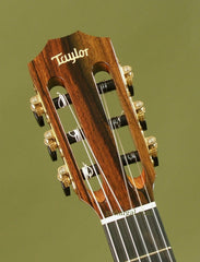 Taylor Guitar: Madagascar Rosewood NS Custom