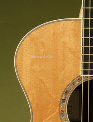 Breedlove C15e custom guitar