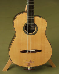 McGill Guitar: CocoBolo Picasso Collector's Series