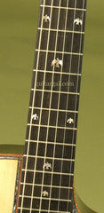 Langejans Guitar: Black Brazilian Rosewood Ltd Edition #10 of 10