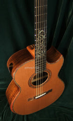 Applegate Guitar: Brazilian Rosewood Dream Series #5 SJ