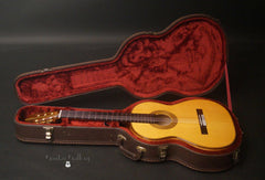 Radicic Classical Guitar inside case
