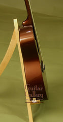 RainSong Graphite Guitars: Sunburst OM1100N2T Guitar