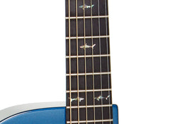 RainSong CO-WS1005NSM guitar fretboard