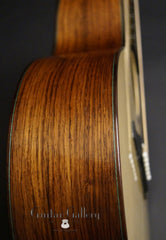 Rein RJN-3 guitar side detail
