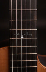 Lowden S25J guitar ebony fretboard