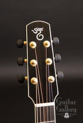Santa Cruz H A/E Guitar