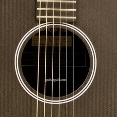 Rainsong Graphite Guitar: S-DR1000NR