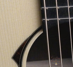 Strahm Eros guitar