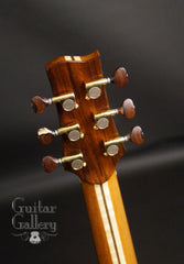 Tony Vines SX guitar headstock backplate