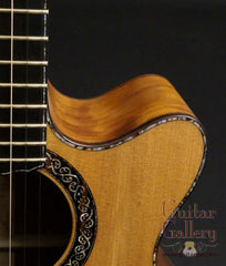 Laurie Williams Tui guitar cutaway