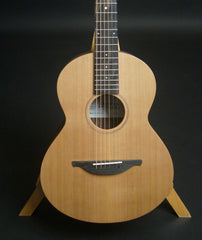Sheeran W01 guitar