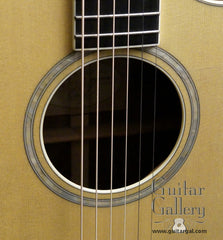 Taylor W10-ce guitar rosette