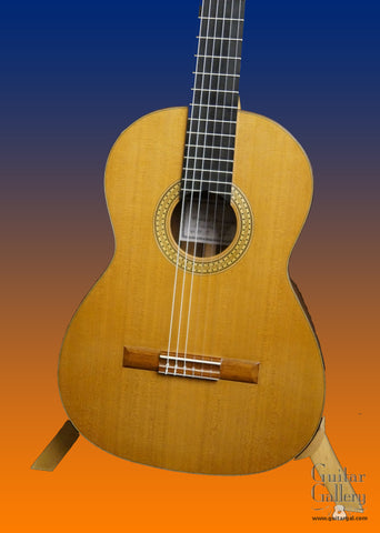 Druzhinin Guitars