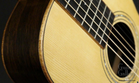 Anderson Guitars at Guitar Gallery
