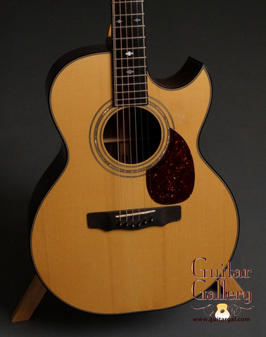 Recommended Ryan Guitars
