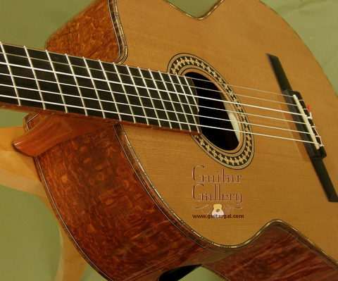 Nylon String CrossOver Guitars at Guitar Gallery