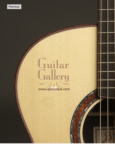 Beneteau Guitars at Guitar Gallery