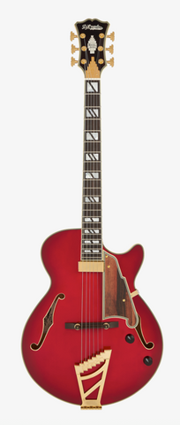 Hollow Body Electric Guitars