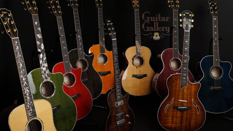 Taylor Guitars at Guitar Gallery