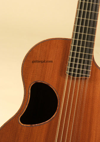 12 String Guitar Collection
