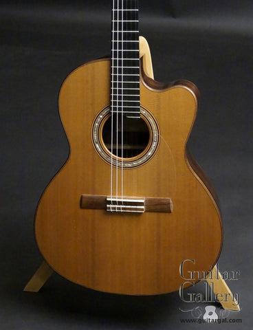 Manzer Guitars at Guitar Gallery