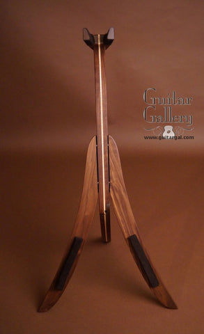 Guitar Stands & Hangers