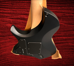 ABASI Master Series Larada 6 guitar back