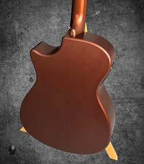 Rainsong APSE guitar back