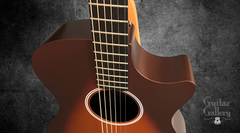 Rainsong APSE guitar fretboard