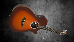 Rainsong APSE guitar glam shot