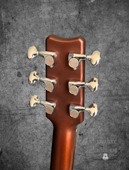 Rainsong APSE guitar tuners