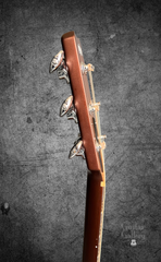 Rainsong APSE guitar side dots