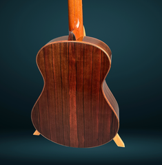 Bashkin OM royal Ebony guitar back