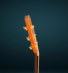 Bashkin OM royal Ebony guitar side dots