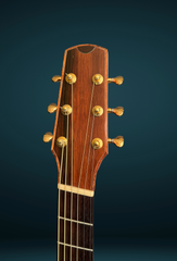 Bashkin OM royal Ebony guitar headstock