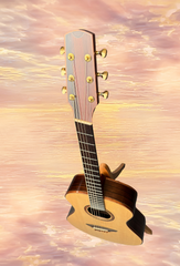 Bashkin OM royal Ebony guitar sky promo shot