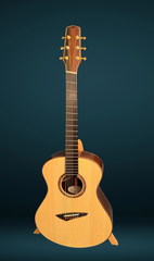 Bashkin OM royal Ebony guitar for sale