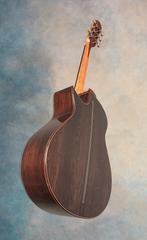 Rye Bear SJ-c guitar glam shot back