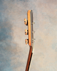 Rye Bear SJ-c guitar neck side dots