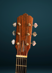 Beauregard OMc guitar headstock