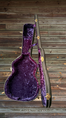 Blanchard Bristlecone guitar case interior