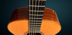 Blanchard Bristlecone guitar ebony fretboard