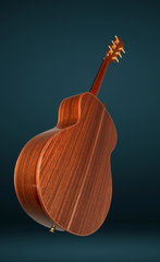Blanchard Bristlecone guitar glam shot back