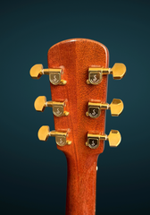 Blanchard Bristlecone guitar tuners