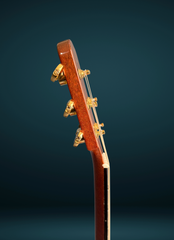 Blanchard Bristlecone guitar neck side dots
