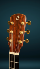 Blanchard Bristlecone guitar headstock