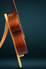 Blanchard Bristlecone guitar side
