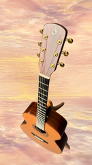 Blanchard Bristlecone guitar promo shot